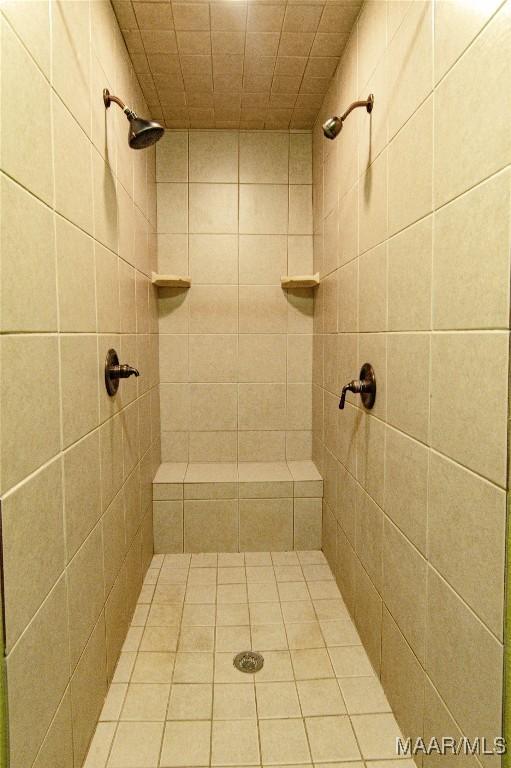 1245 Providence Rd, Titus, AL 36080 - full bath with tiled shower