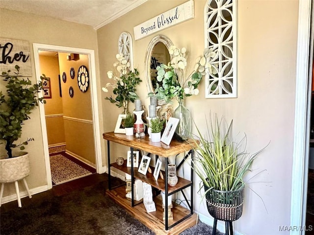 4525 Lisa Ct, Montgomery, AL 36106 - corridor featuring carpet flooring and baseboards
