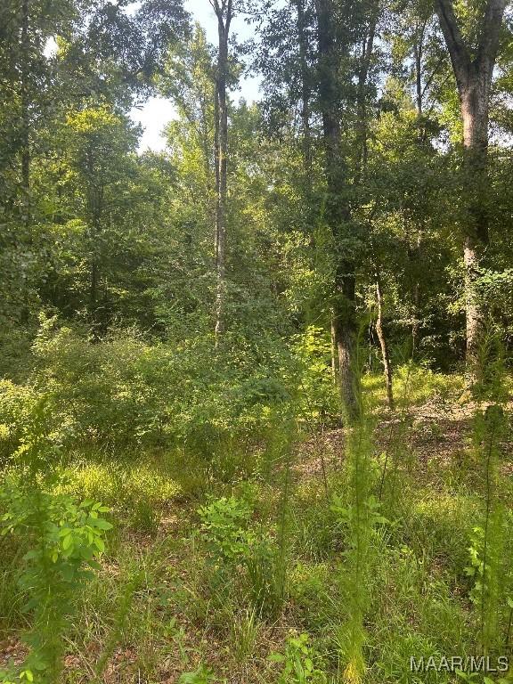 1187 Central Plank Rd Unit 9, Wetumpka, AL 36092 - photo 8