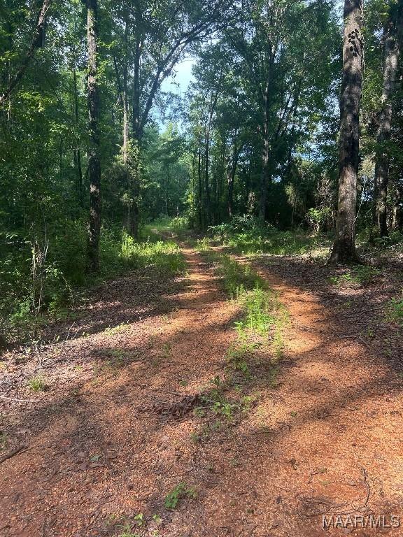 1187 Central Plank Rd Unit 9, Wetumpka, AL 36092 - photo 9