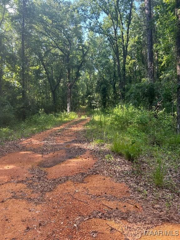1187 Central Plank Rd Unit 9, Wetumpka, AL 36092 - photo 10