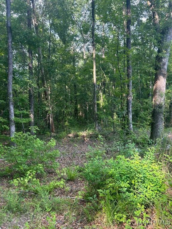 1187 Central Plank Rd Unit 9, Wetumpka, AL 36092 - photo 11