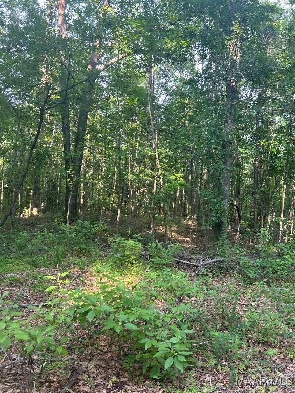 1187 Central Plank Rd Unit 9, Wetumpka, AL 36092 - photo 12