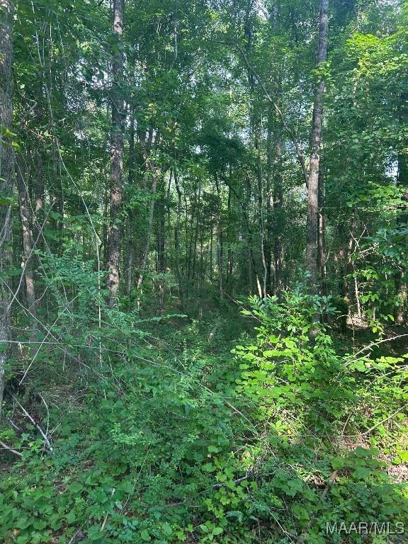 1187 Central Plank Rd Unit 9, Wetumpka, AL 36092 - photo 13