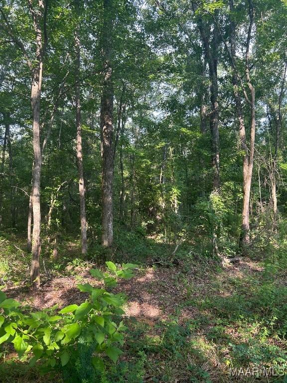 1187 Central Plank Rd Unit 9, Wetumpka, AL 36092 - photo 14