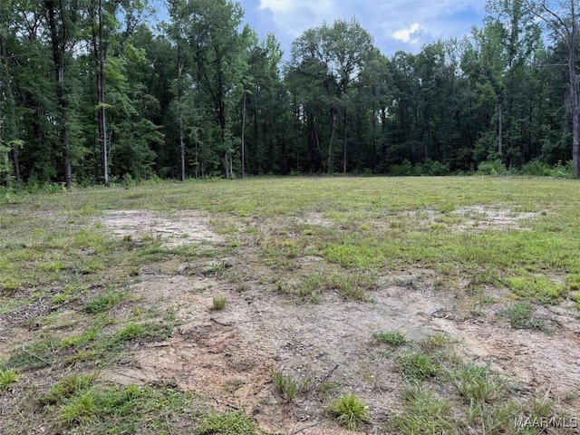 1187 Central Plank Rd Unit 9, Wetumpka, AL 36092 - photo 4