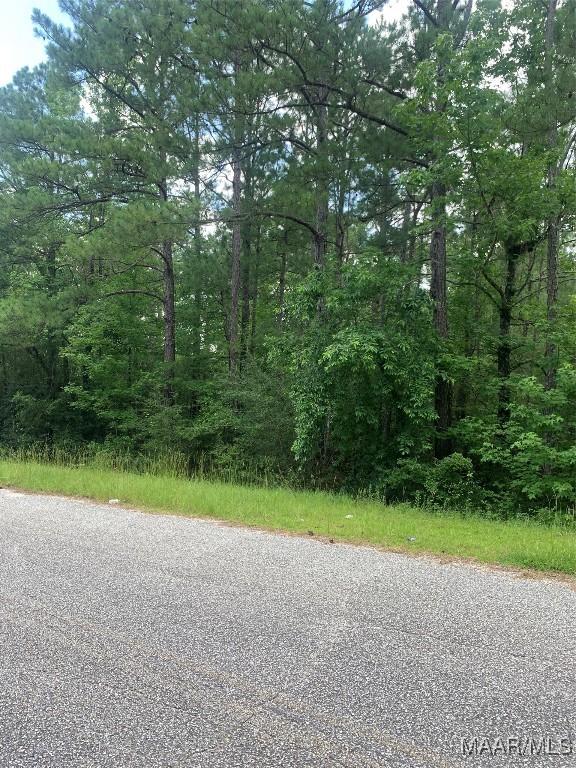 0 Washington Ave, Tuskegee, AL 36083