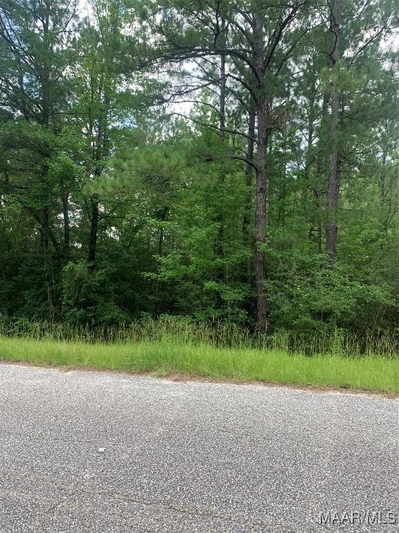 0 Washington Ave, Tuskegee, AL 36083