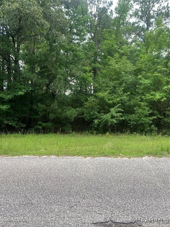 0 Washington Ave, Tuskegee, AL 36083