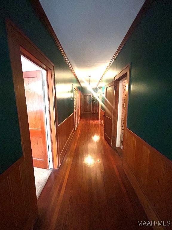 309 Broad St, Camden, AL 36726 - hallway with a wainscoted wall, wood finished floors, and crown molding