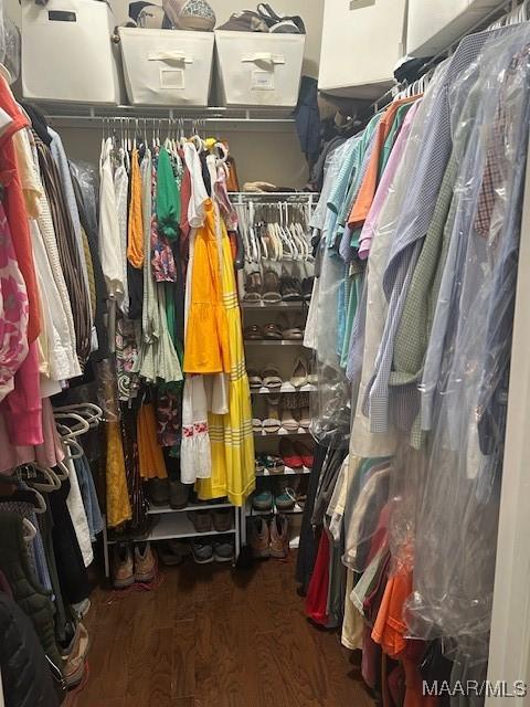 124 Reid Cir, Deatsville, AL 36022 - walk in closet with wood finished floors