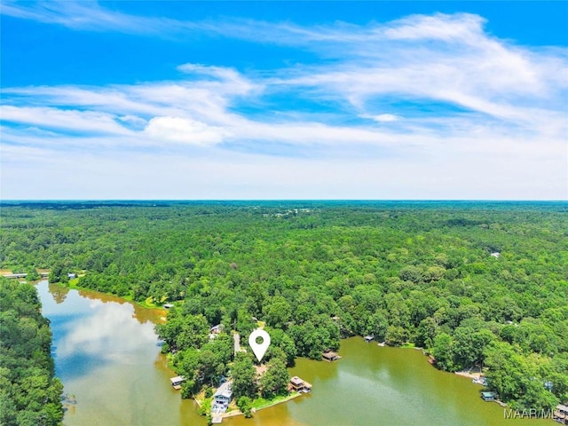 215 Hickory Rd, Titus, AL 36080 - bird's eye view of a forest and a large body of water