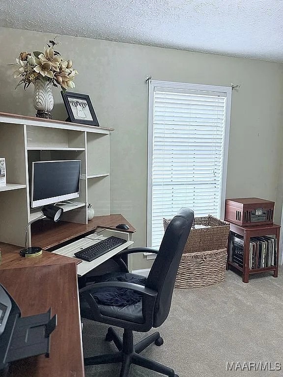 312 Rebekah Ln, Montgomery, AL 36109 - carpeted office with a textured ceiling