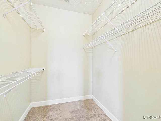 7467 Old Pump Rd, Montgomery, AL 36117 - spacious closet with carpet floors