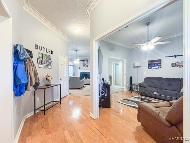 7908 Arrowhead Forest Ct, Montgomery, AL 36117 - living area featuring ceiling fan, light wood-style floors, ornamental molding, a fireplace, and a textured ceiling
