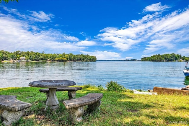 54 Pine Dr, Eclectic, AL 36024 - water view