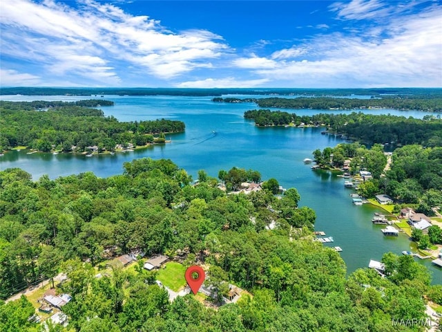 54 Pine Dr, Eclectic, AL 36024 - aerial view of a nearby body of water