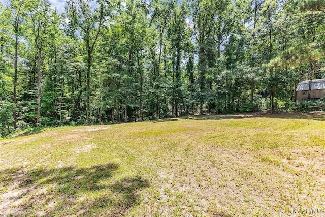 54 Pine Dr, Eclectic, AL 36024 - view of grassy yard featuring a forest view