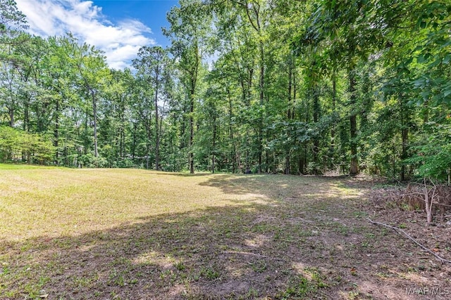 54 Pine Dr, Eclectic, AL 36024 - view of grassy yard with a view of trees