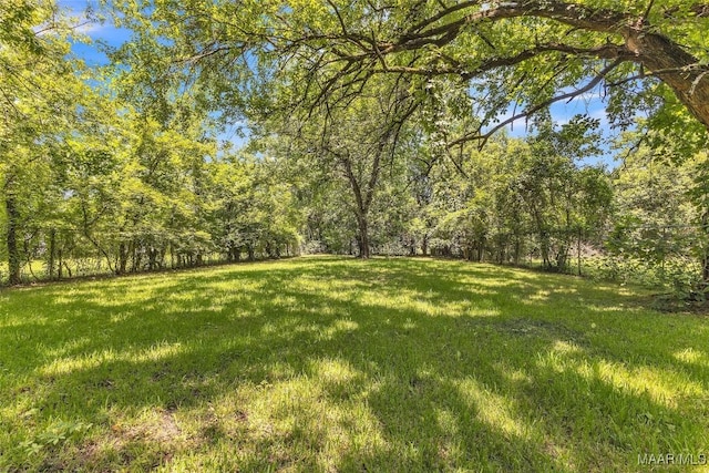 1422 Flamingo Ln, Montgomery, AL 36116 - view of grassy yard with a view of trees