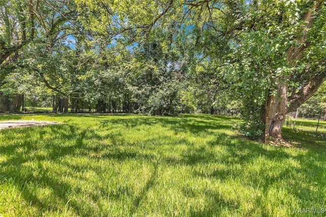 1422 Flamingo Ln, Montgomery, AL 36116 - view of yard