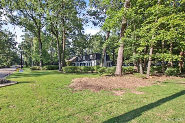 1743 Croom Dr, Montgomery, AL 36106 - photo 73