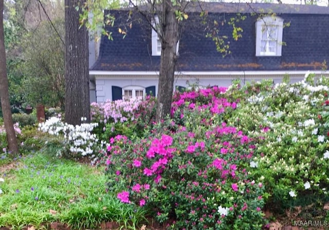 1743 Croom Dr, Montgomery, AL 36106 - photo 3
