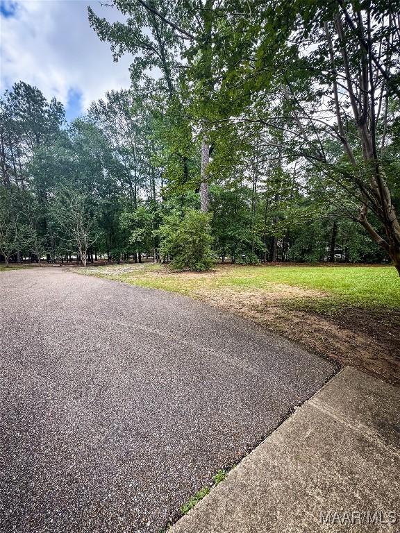 1267 County Road 85th Rd, Prattville, AL 36067 - view of asphalt road