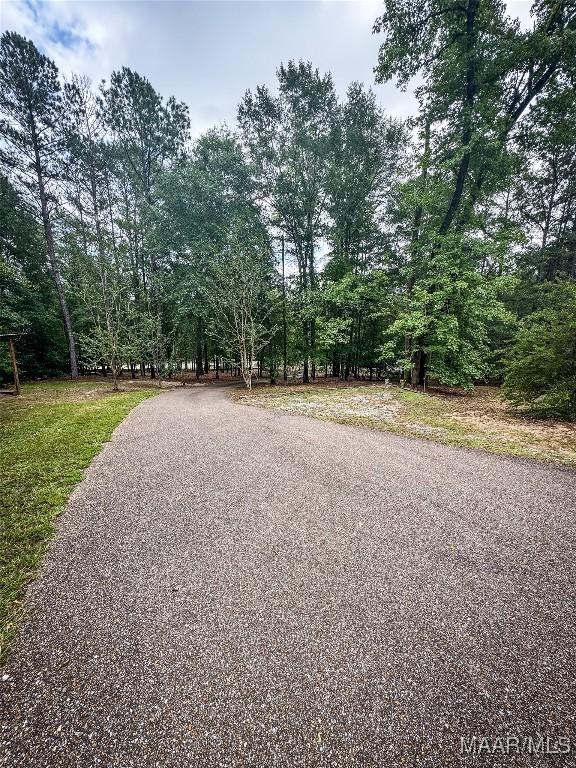 1267 County Road 85th Rd, Prattville, AL 36067 - view of asphalt road
