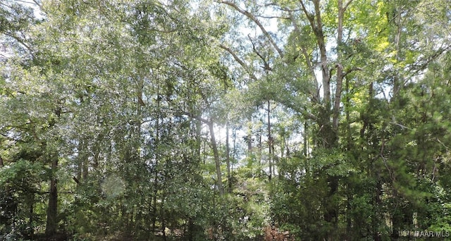 0 Ridge Rd, Greenville, AL 36037