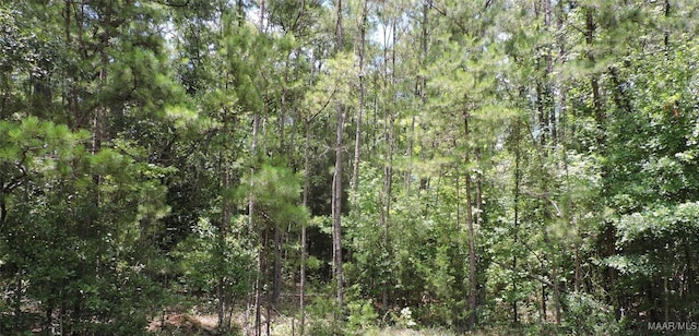 0 Ridge Rd, Greenville, AL 36037