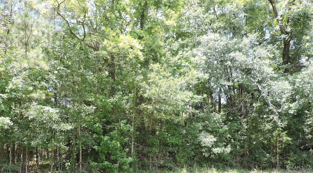0 Ridge Rd, Greenville, AL 36037