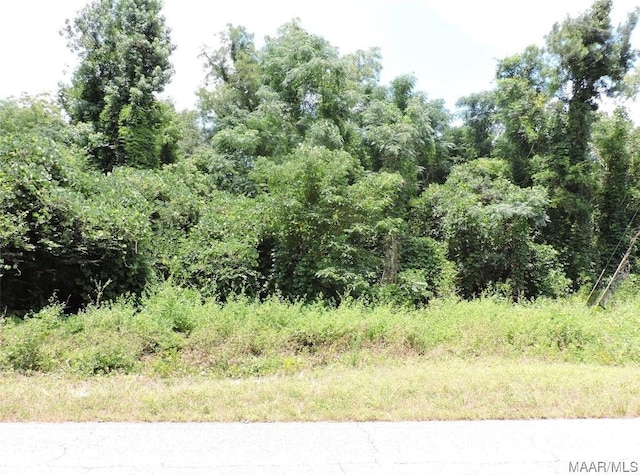 0 Ridge Rd, Greenville, AL 36037
