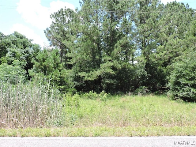 0 Ridge Rd, Greenville, AL 36037