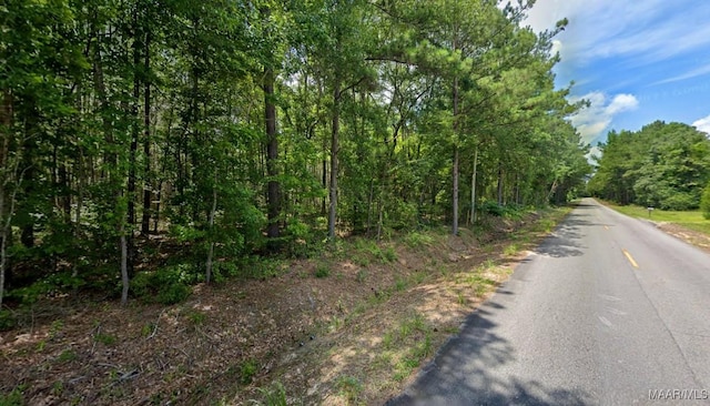 021 Lee Rd Unit 140, Salem, AL 36874 - photo 2