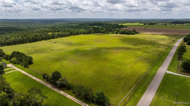 6 County Road 57, Pine Level, AL 36022