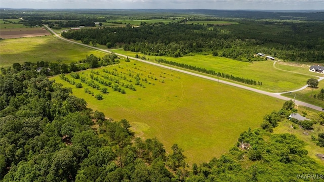 6 County Road 57, Pine Level, AL 36022