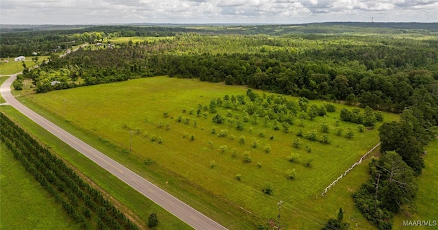 6 County Road 57, Pine Level, AL 36022