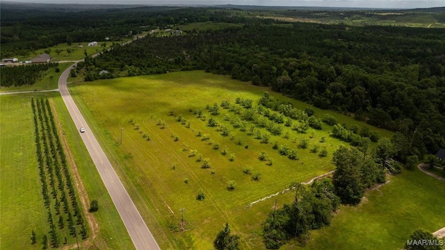 6 County Road 57, Pine Level, AL 36022