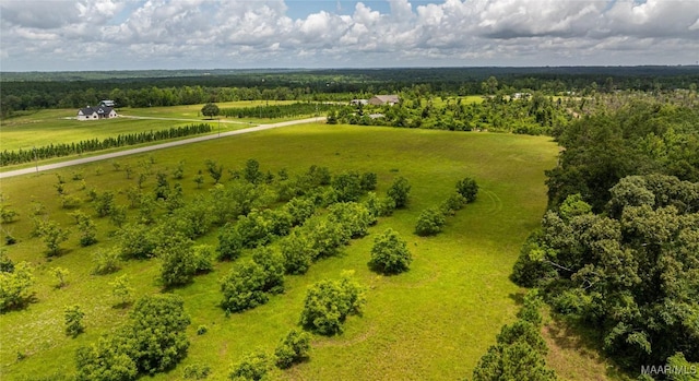 6 County Road 57, Pine Level, AL 36022
