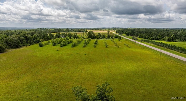 6 County Road 57, Pine Level, AL 36022