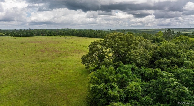 6 County Road 57, Pine Level, AL 36022