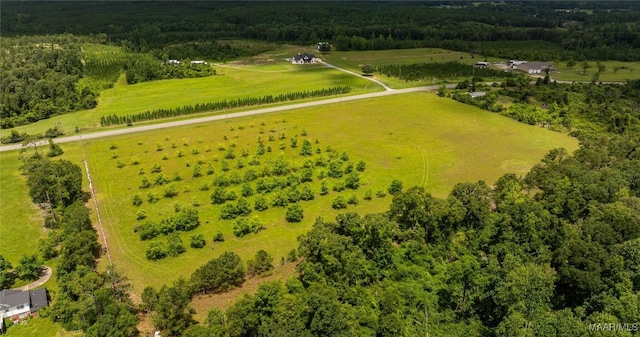 6 County Road 57, Pine Level, AL 36022