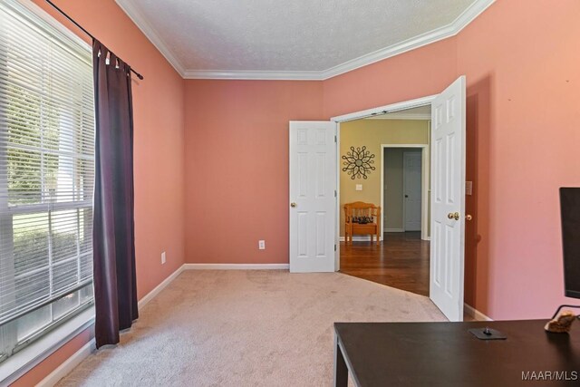 709 Liberty Rd, Tallassee, AL 36078 - unfurnished office featuring carpet floors, ornamental molding, and a textured ceiling