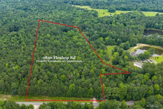 1850 Fleahop Rd, Eclectic, AL 36024 - photo 9