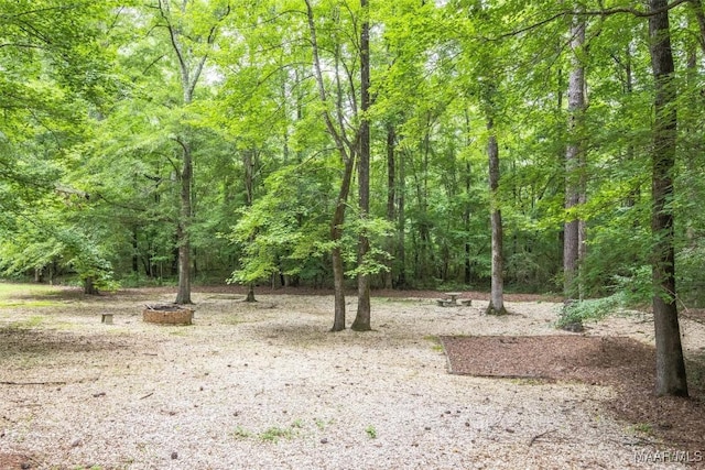 1850 Fleahop Rd, Eclectic, AL 36024 - photo 11