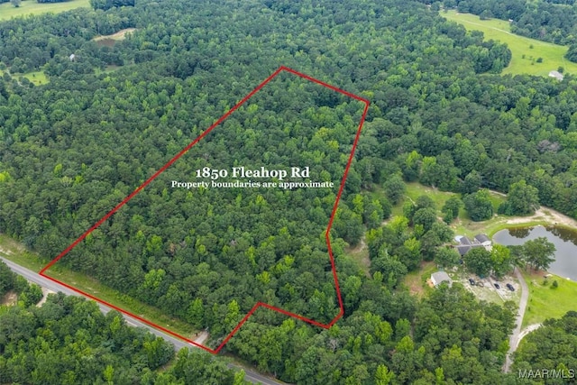 1850 Fleahop Rd, Eclectic, AL 36024 - photo 42