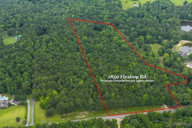 1850 Fleahop Rd, Eclectic, AL 36024 - photo 44