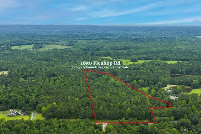 1850 Fleahop Rd, Eclectic, AL 36024 - photo 2