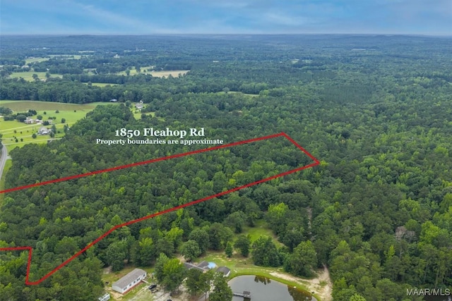 1850 Fleahop Rd, Eclectic, AL 36024 - photo 43